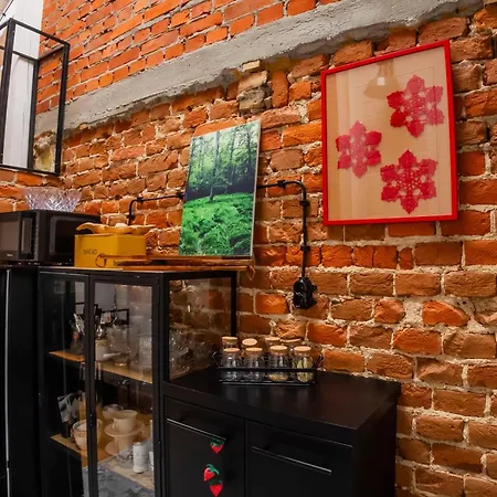 Apartment Lubartowska 19 Lublin